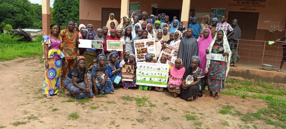 Formation des formateurs Nikki (Gnonkourokali)